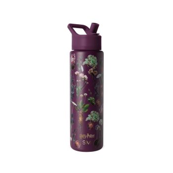 Summit Water Bottle with Straw Lid